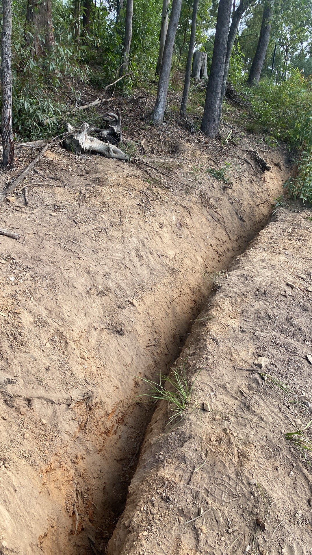 Digging service